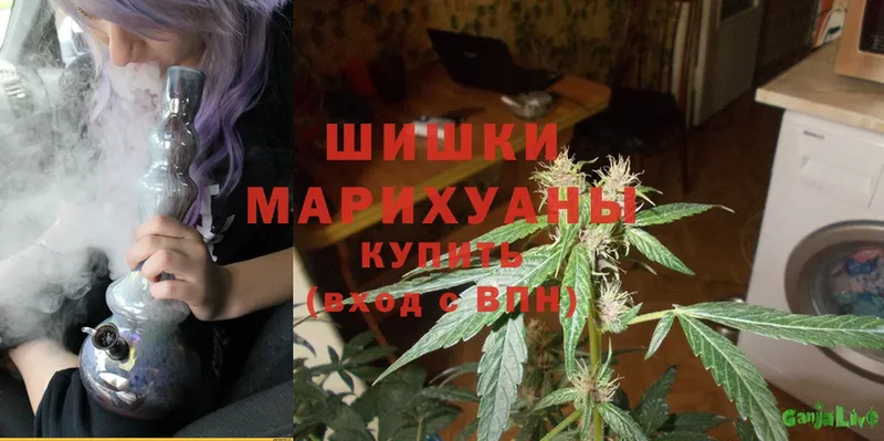 Марихуана SATIVA & INDICA  Елизово 